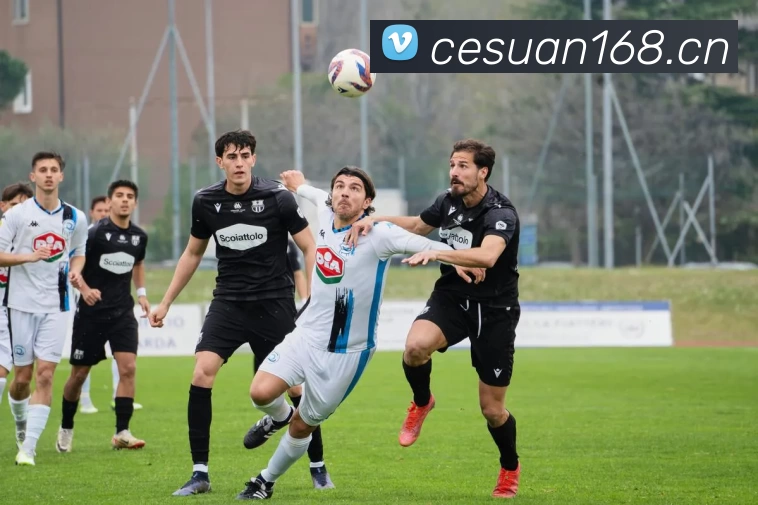 j9集团|国际站官网平台生态图